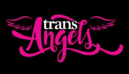 TransAngels Porn Network